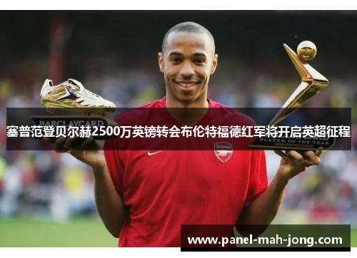 塞普范登贝尔赫2500万英镑转会布伦特福德红军将开启英超征程 塞普范登贝尔赫2500万英镑转会布伦特福德红军将开启英超征程