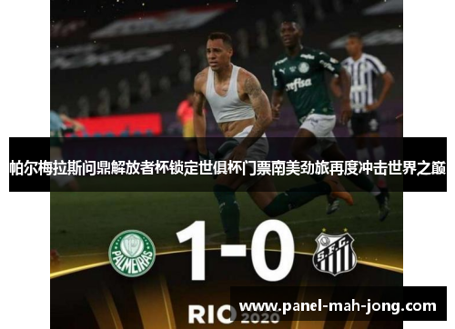 帕尔梅拉斯问鼎解放者杯锁定世俱杯门票南美劲旅再度冲击世界之巅