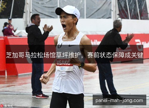 芝加哥马拉松场馆草坪维护,赛前状态保障成关键 芝加哥马拉松场馆草坪维护,赛前状态保障成关键